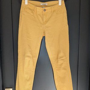 Refuge Jeans 💛 Mustard Yellow - Size 0